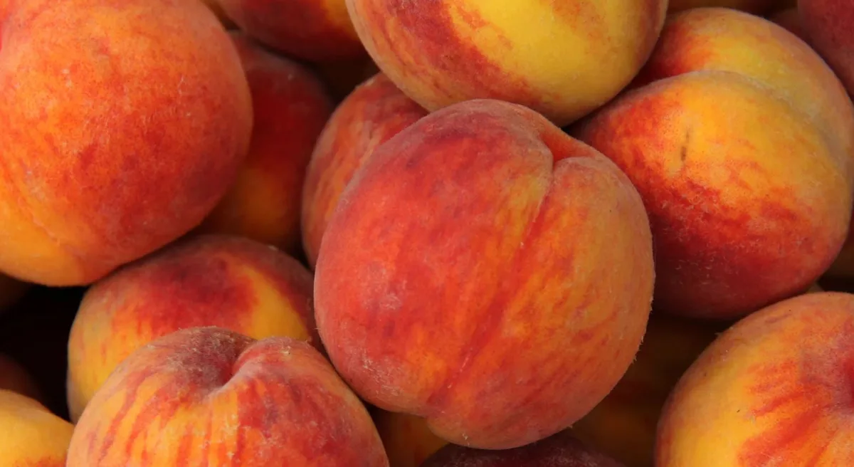 Você escolhe o pêssego certo? Veja diferenças entre fruta fresca, seca e enlatada