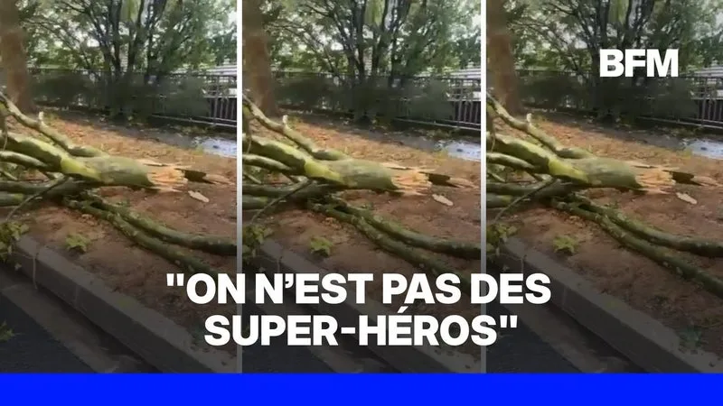 "En une minute, ça a viré au drame": Deux hommes portent secours à une passante alors que des arbres menacent de lui tomber dessus