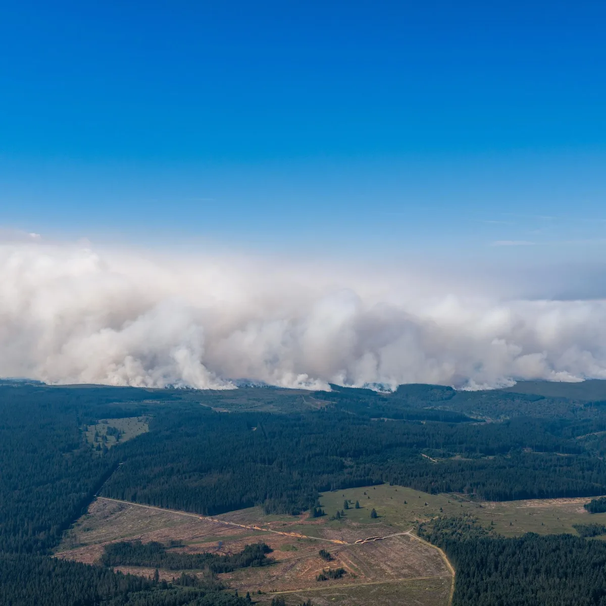 Waldbrände - Drohende Gesundheitsgefahr durch Feuer im Hohen Venn für Anwohner - Rauchgeruch überregional wahrnehmbar
