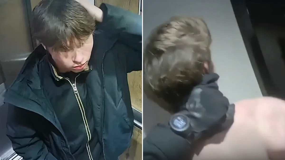 Norwegian teenager jailed for 20 years after being recruited online to carry out $AUD40,000 assassination