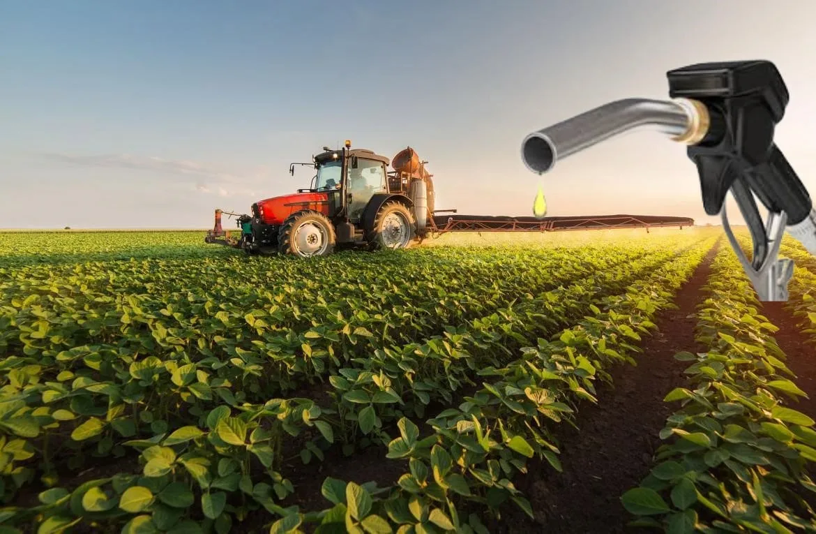 Biocombustibles: la pelea por un mercado de u$s 1000 millones que puede frenar el proyecto en el Senado