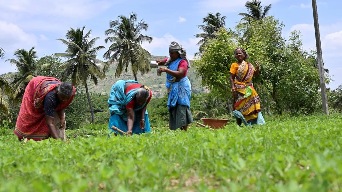 The rural-urban divide in female labour force participation