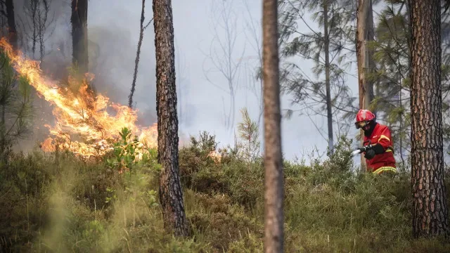 Fogo que começou em Boticas está em resolução
