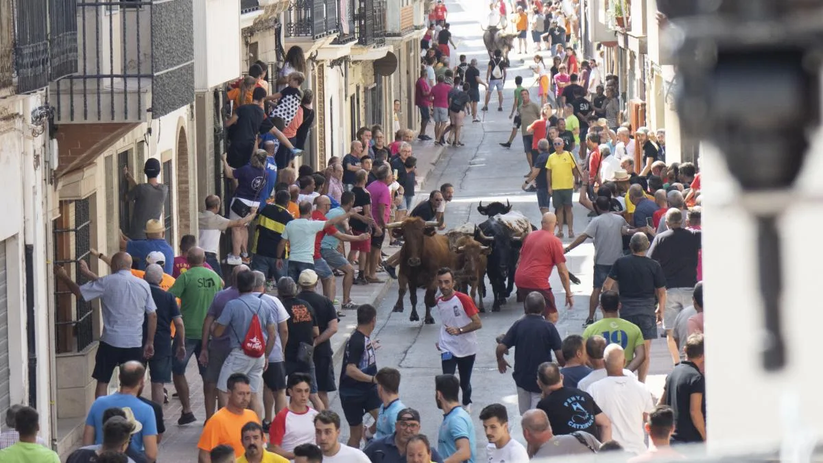Fallece un hombre de 80 años en los 'bous al carrer' de Vilavella tras ser corneado por un toro