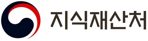 'K-가발로 글로벌 패션 선도'…관련 특허 경쟁력 세계 2위