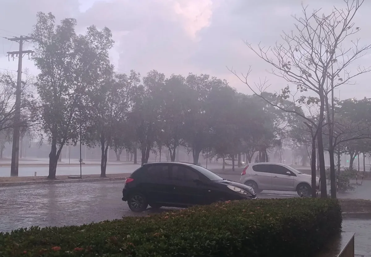 Chuva com vento é registrada em Palmas neste sábado (5); veja a previsão