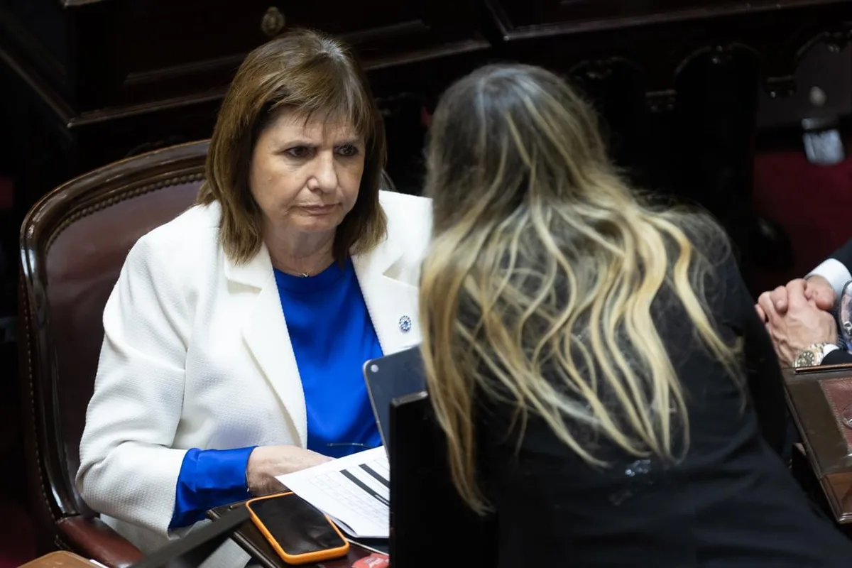Patricia Bullrich se diferenció de Milei sobre la situación de los morosos: dijo que el costo del endeudamiento es “un robo que no se puede permitir”