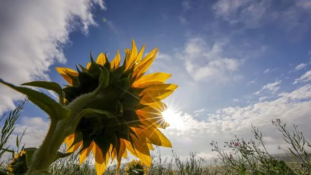 Wetter: Wo sich der Spätsommer im Südwesten noch einmal breit macht