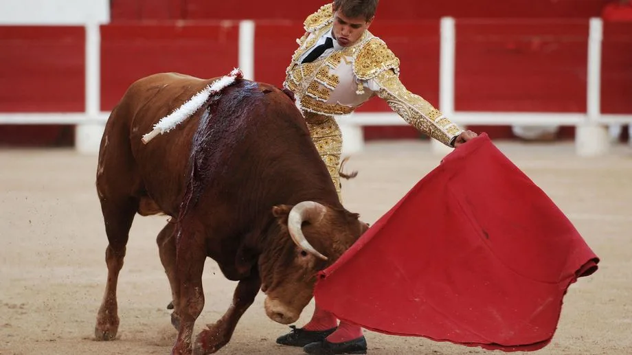 La justice demande l'annulation de la corrida prévue à Palavas-les-Flots le 10 octobre