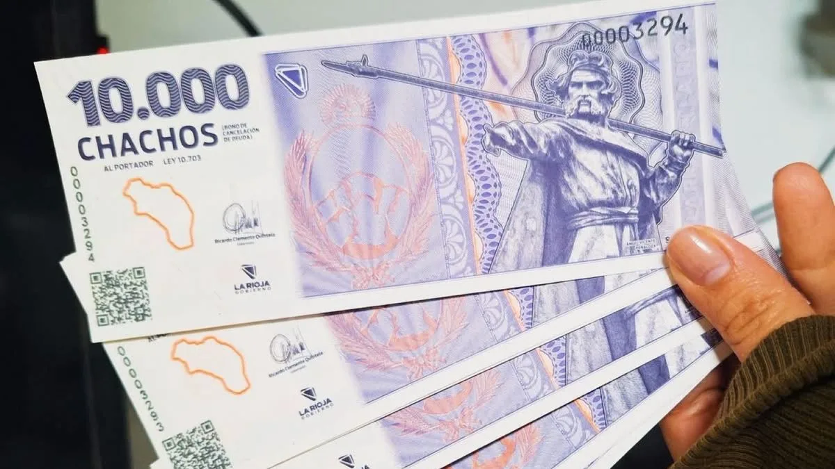 ¿"Chachos" riojanos son los nuevos Patacones? Similitudes y diferencias con las cuasimonedas de 2001