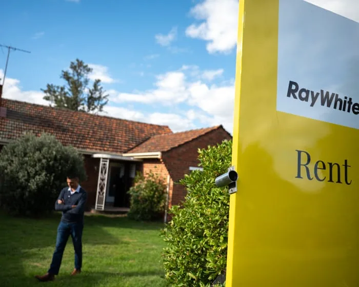 Housing tax changes lead to a massive increase in stories about rents going up | Weekly Beast