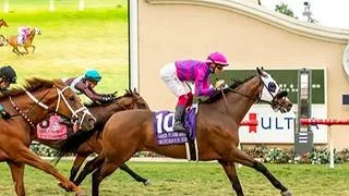 Breeders’ Cup: Motorious va por su cuarto Green Flash de manera consecutiva