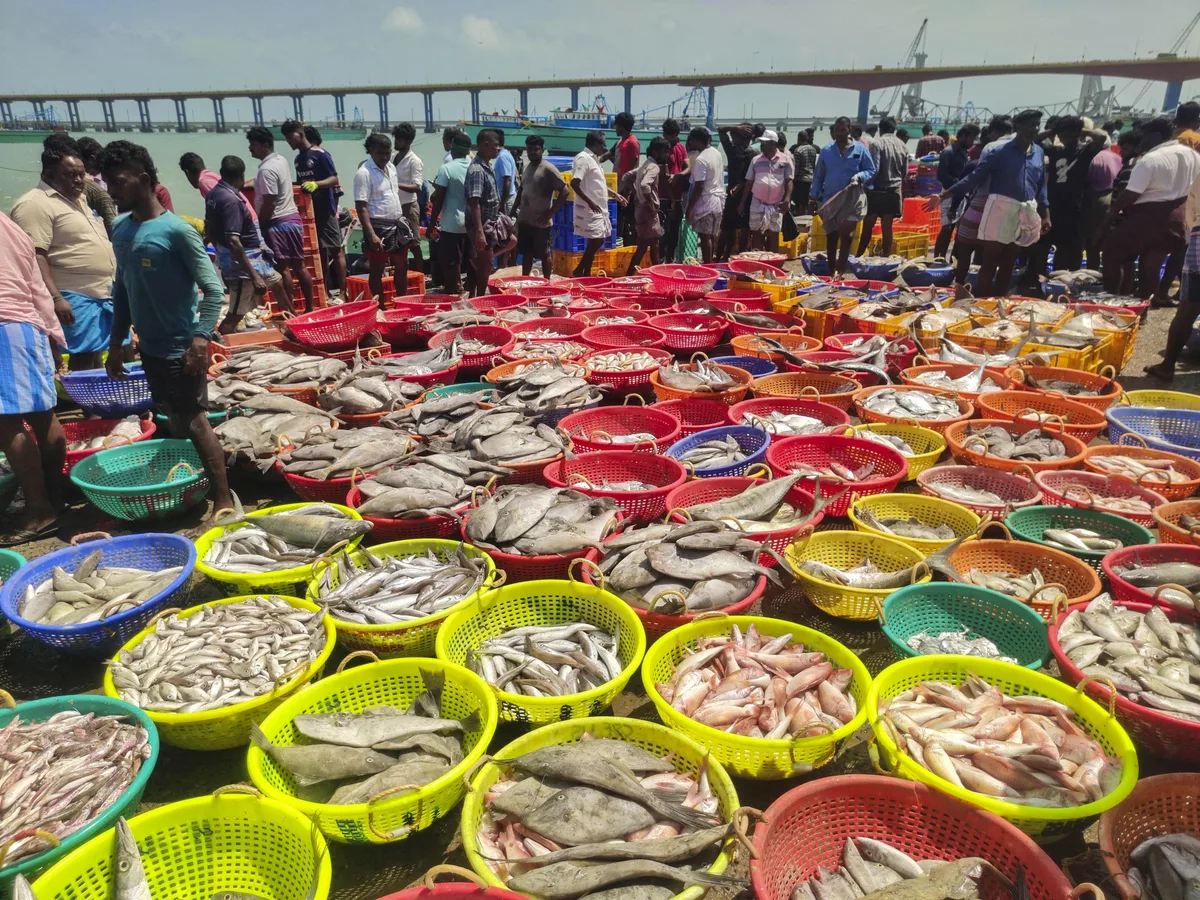 Keralam seafood sector unveils plan to boost sustainable fishing, exports