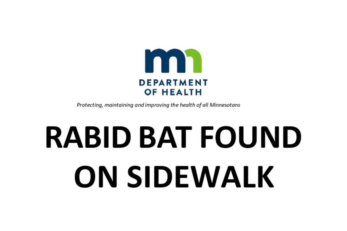 Minnesota Woman Picked Rabid Bat Off Sidewalk. Now Health Officials Are Desperate to Find Her