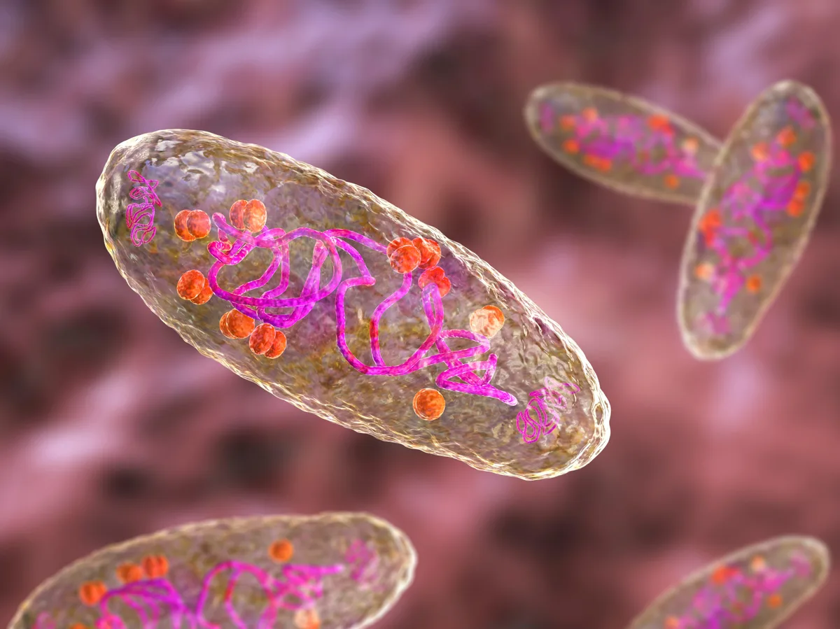 Everything we know about the suspected plague case in Russia so far