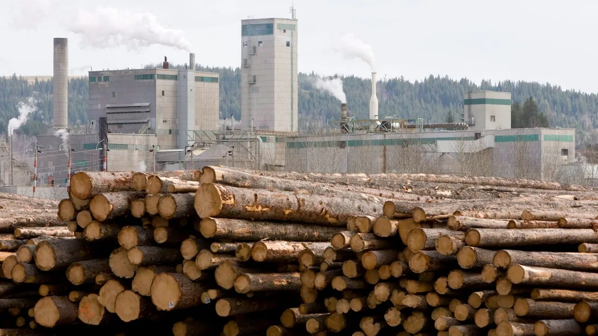 How Trump’s lumber tariffs made a bad situation worse in B.C.