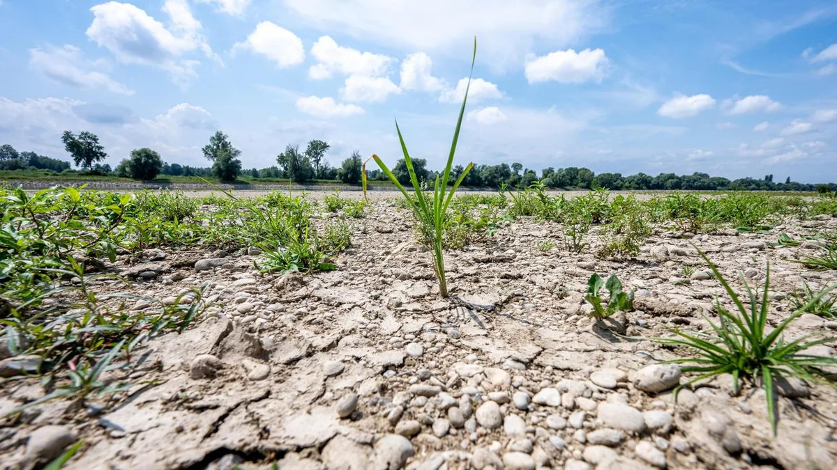 Klimaschutz : Umweltverbände kritisieren Klimapolitik der Bundesregierung