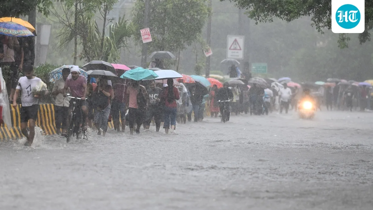 Delhi's August sees above-normal rain, warm nights and three-year-high AQI