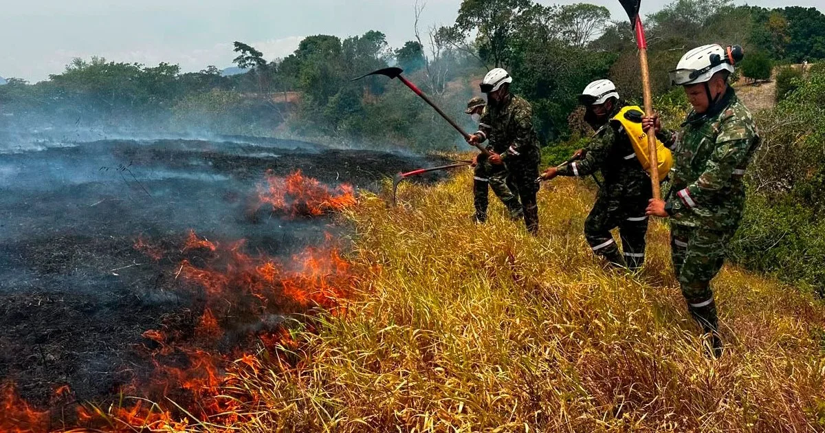 Después del terremoto, los incendios forestales arrasan miles de hectáreas en Colombia y el gobierno acusa a “manos criminales”