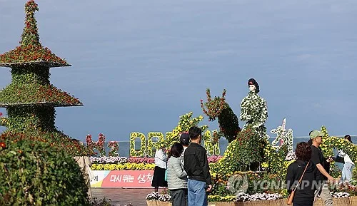 국화 1만500점 삼척해변 수놓는다…스마트농업 홍보까지