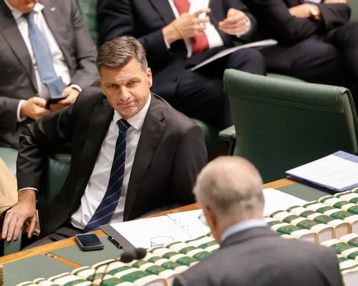 Angus Taylor links support for NDIS reform to removal of ‘widow tax’ loophole