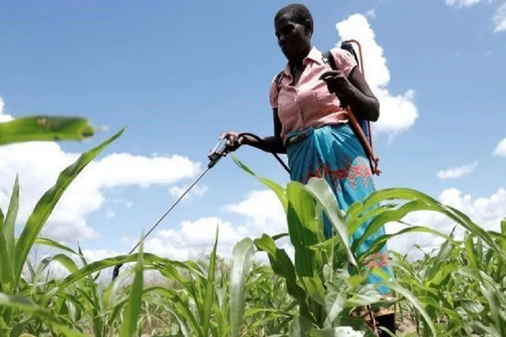 Free State women farmers lament limited access to land