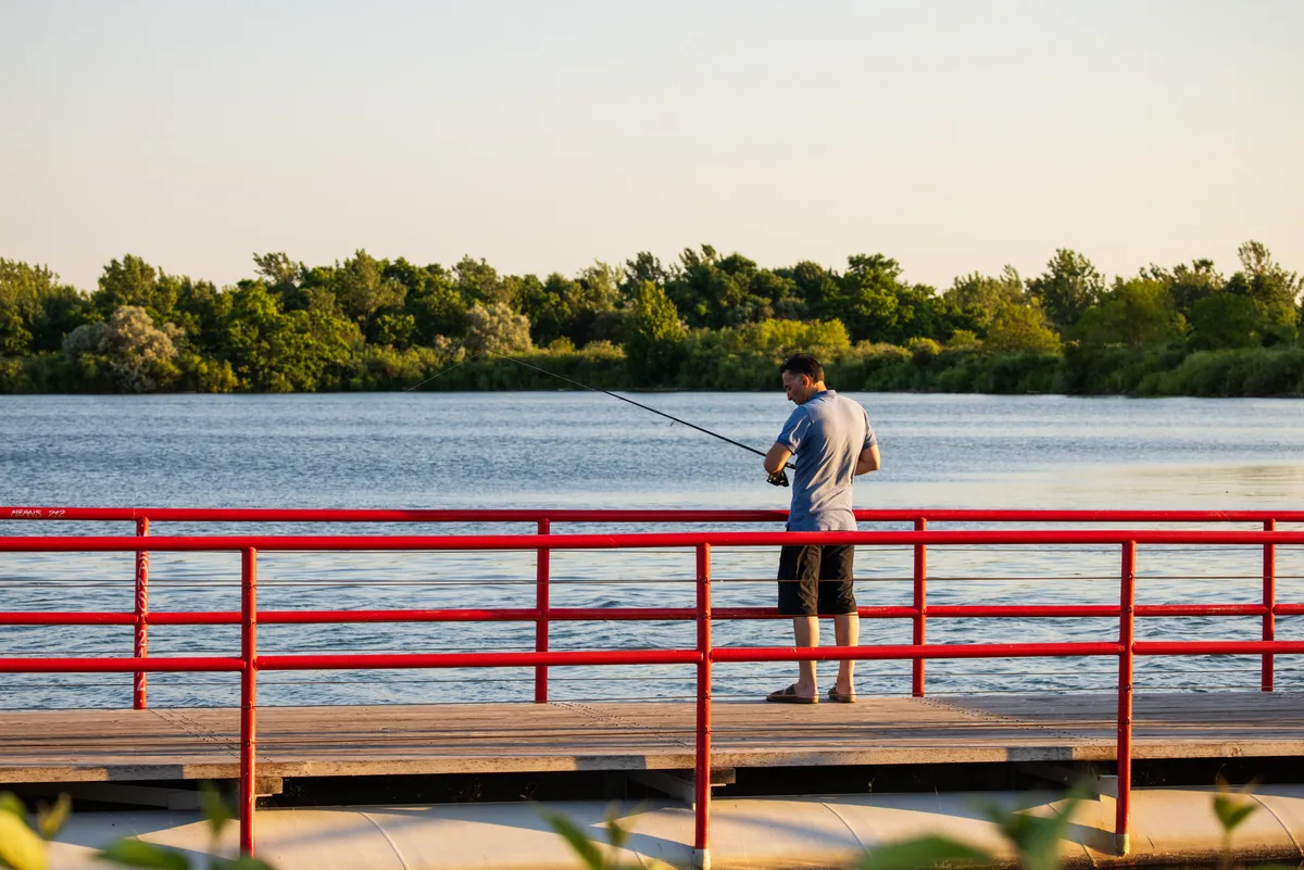 How this Toronto park became an international model for ecological restoration