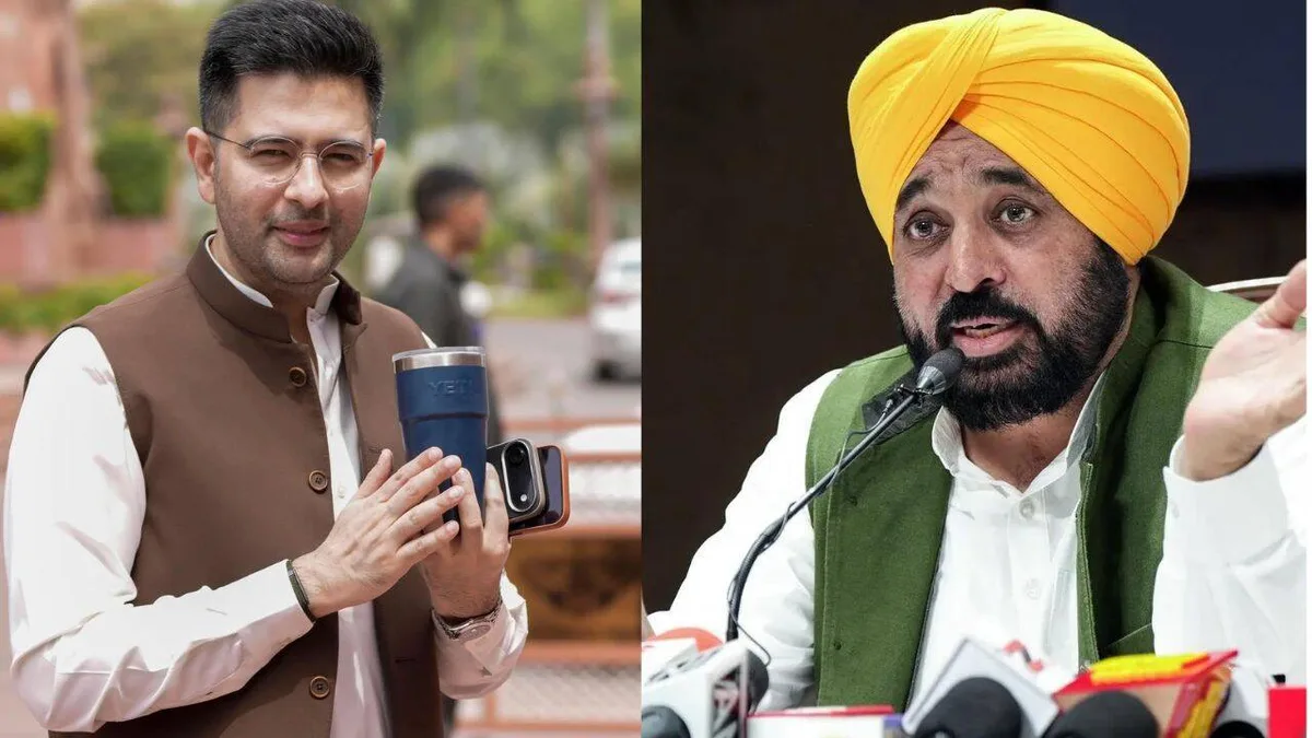 ‘AAP burning with anger’: Raghav Chadha's name 'shifted' from Punjab draft SIR