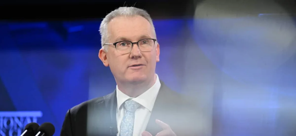 'Can't quarantine any sector': Tony Burke warns migration overhaul carries economic risks