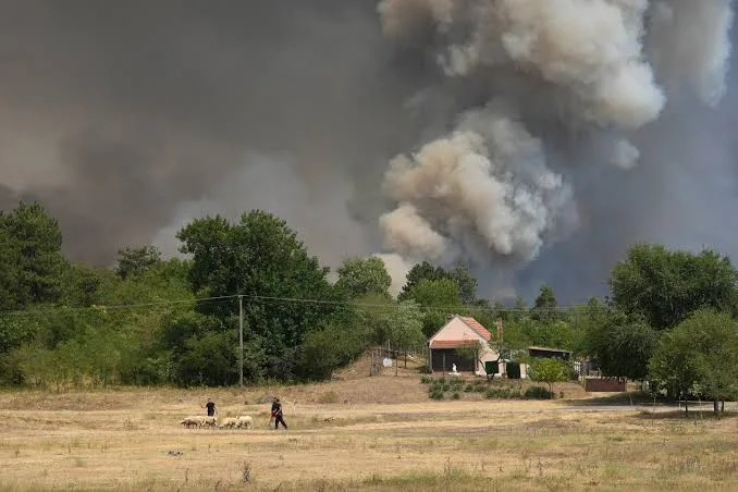 Serbia solicitó el apoyo de la UE para poder sofocar los devastadores incendios forestales