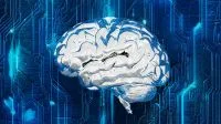 Chatbots concordam demais com você, e pesquisadores da USP explicam o risco