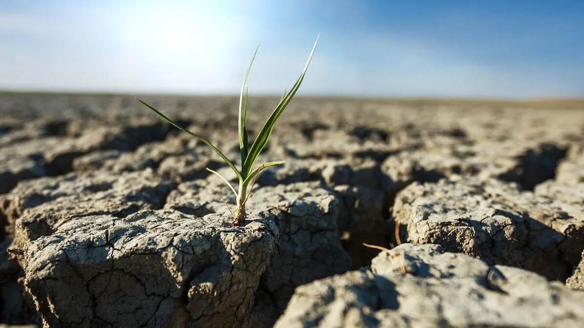 ZERO alerta para risco de desertificação em Portugal no arranque da COP17