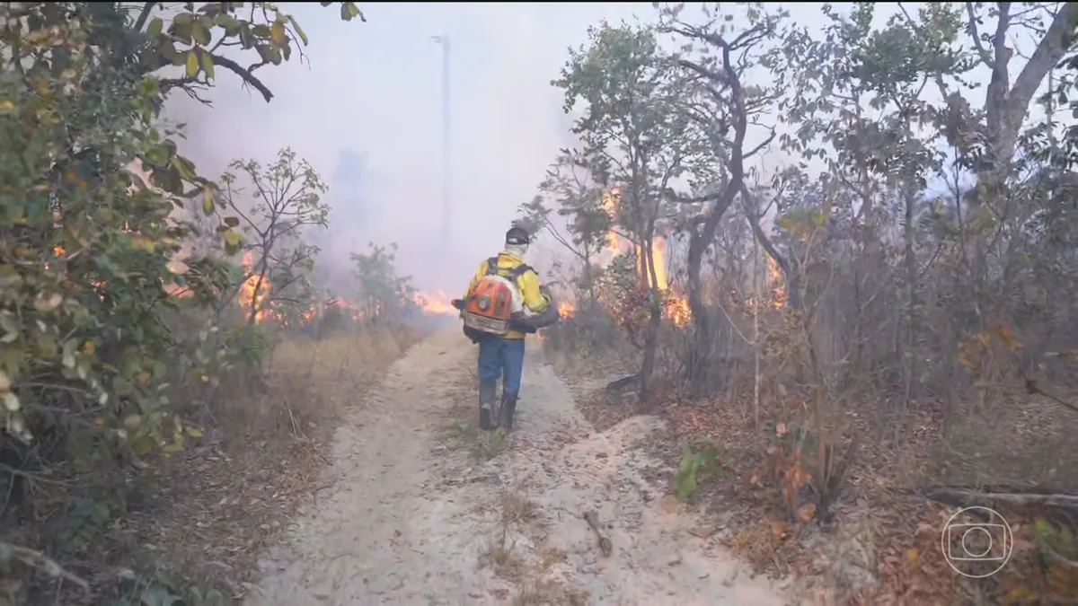 Incêndio que atinge o nordeste de Goiás já destruiu quase 11 mil hectares de vegetação do Cerrado