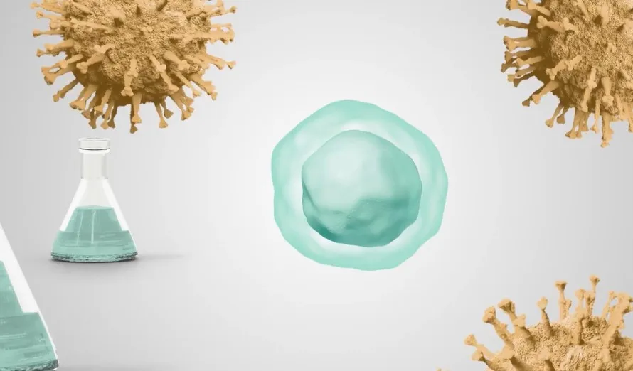 Terapia CAR-T humanizada no SUS poderá democratizar tratamento do câncer no Brasil