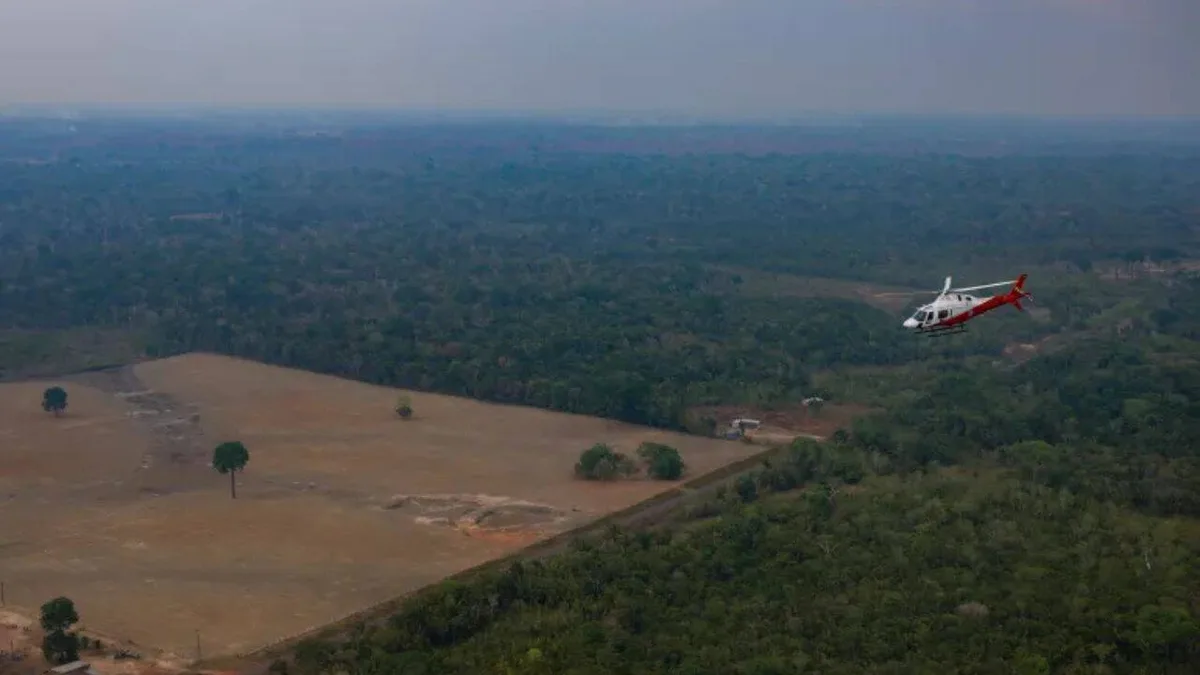 Brazil's Amazon deforestation hits record low: Why it matters amid election battle