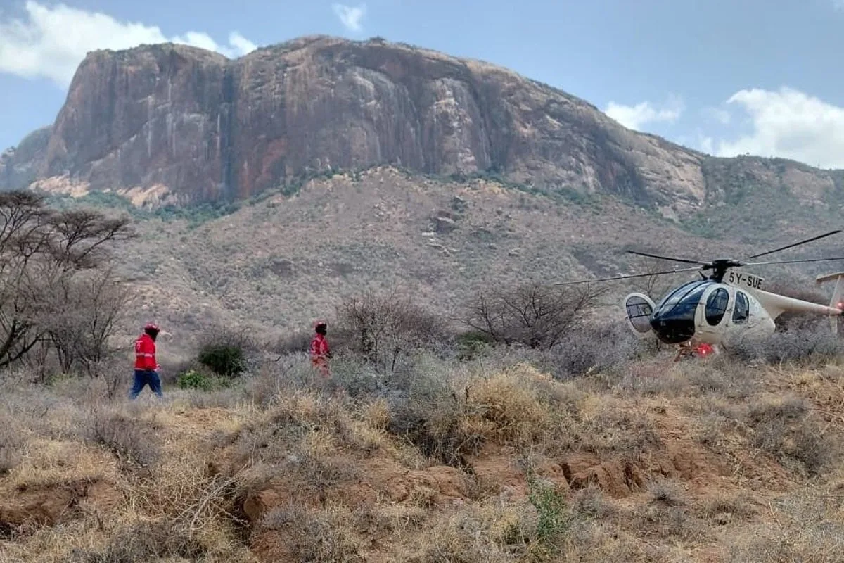 Seven killed in safari helicopter crash in Kenya as investigation launched