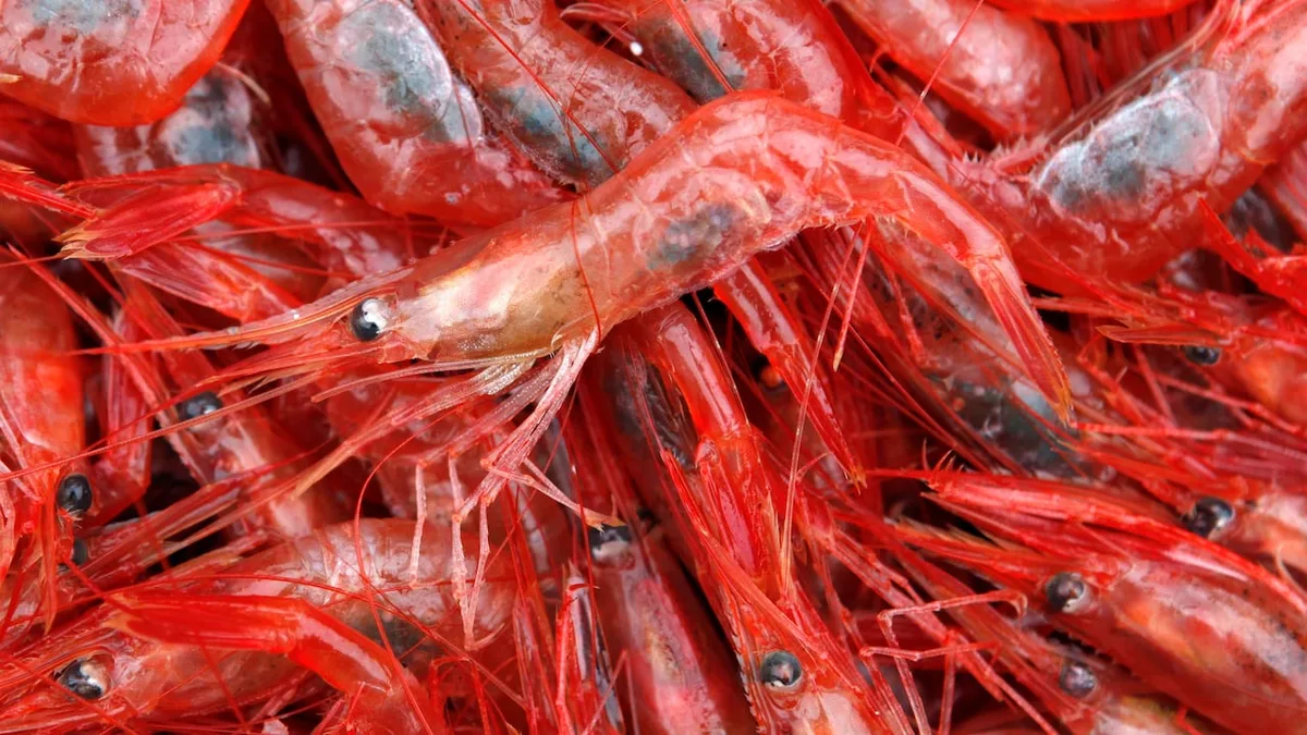 Ottawa removes counter-tariffs on seafood, fish products