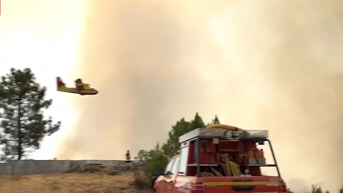 Flammen-Inferno in Portugal - 2000 Feuerwehrleute im Einsatz