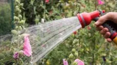 More hosepipe bans in force as drought declared - is your area affected?