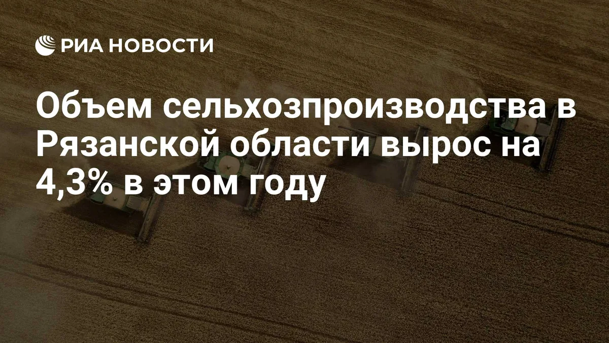 Объем сельхозпроизводства в Рязанской области вырос на 4,3% в этом году