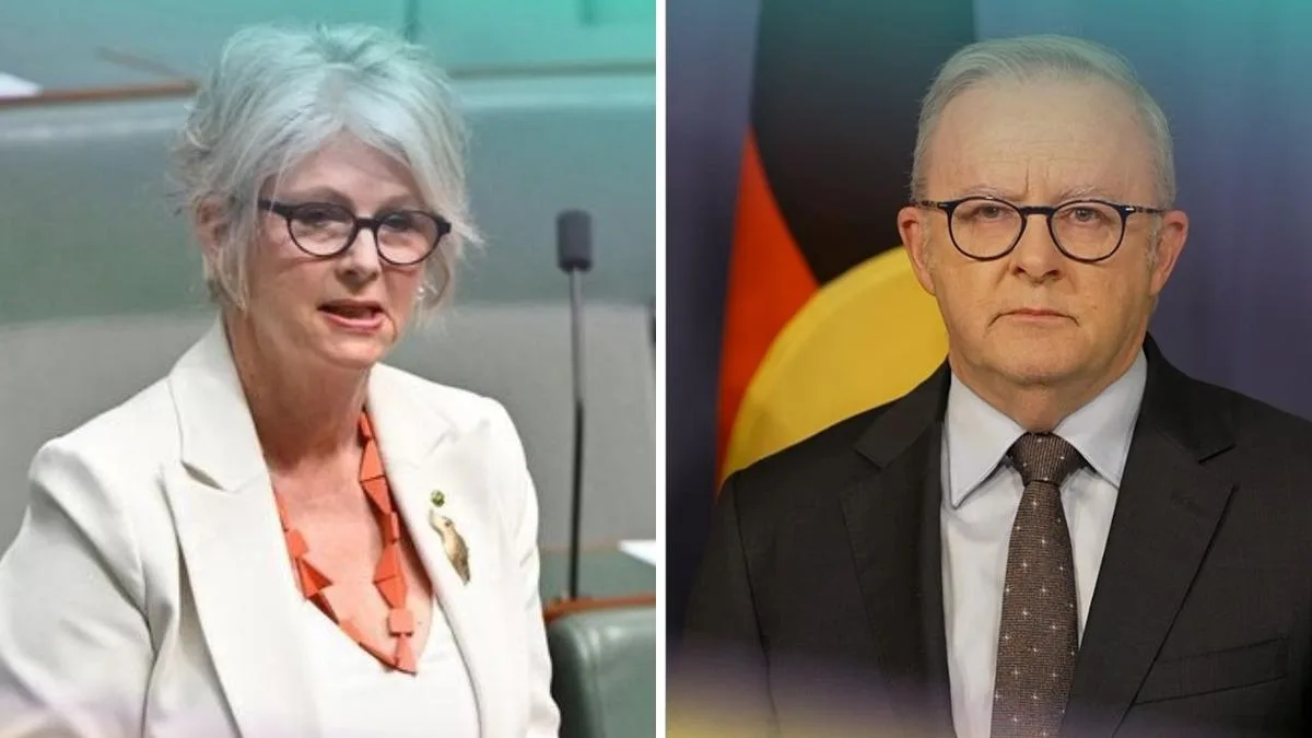 Indi MP Helen Haines critically injured in ‘attack’ outside electoral office, with suspect in custody