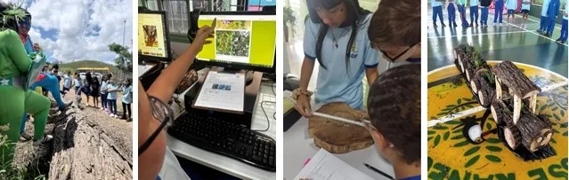 Queda de árvore vira projeto pedagógico de inovação e tecnologia no DF
