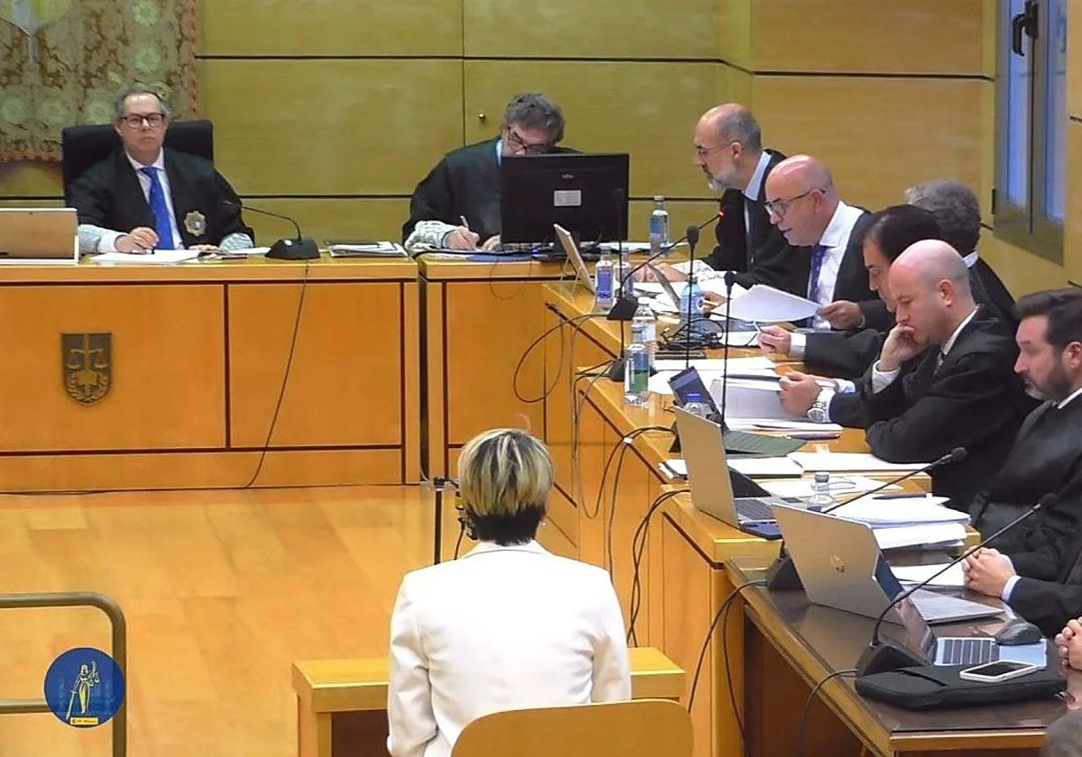La pareja de la segunda víctima relata que el acusado sugirió a la Guardia Civil otras hipótesis sobre su desaparición