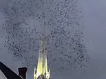 Thousands of birds descend on Oregon church in chilling 'End of Days' scene