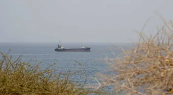 Irão abre estreito de Ormuz a "vários" petroleiros iraquianos