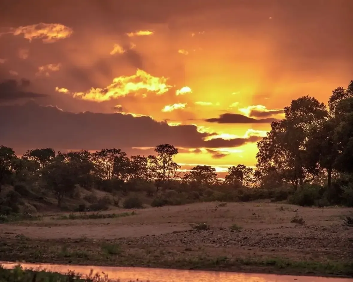 SA farmers better placed to face El Niño, but risks remain