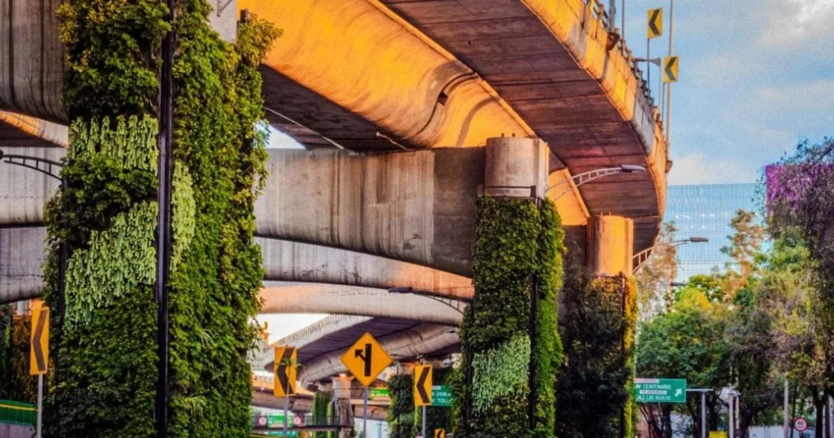 Transformaron más de 1.000 columnas de una autopista en jardines verticales para combatir la contaminación y el calor