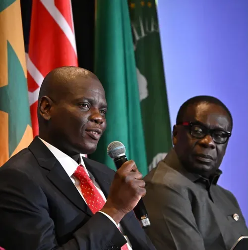 SA needs continental help to manage migration, says Lamola