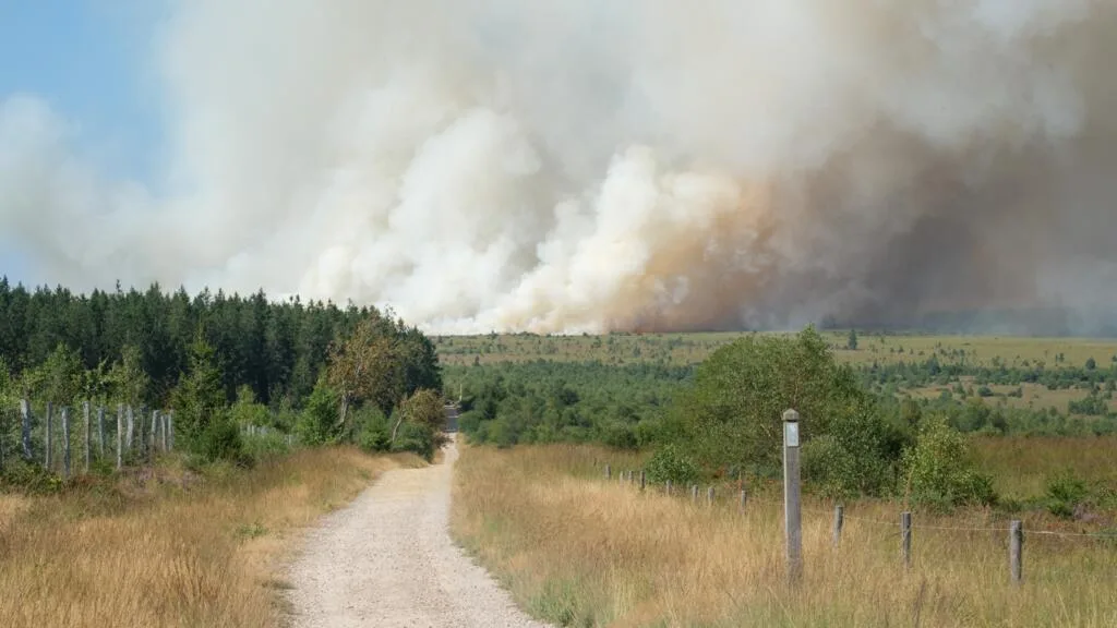 Bélgica enfrenta o pior incêndio florestal da história do país