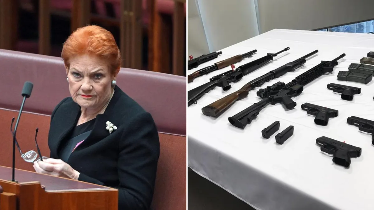 One Nation leader Pauline Hanson takes aim at NSW gun buyback she says targets law-abiding owners